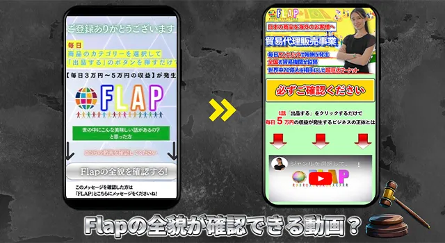 Flapの全貌が確認できる動画がサイトに貼られています