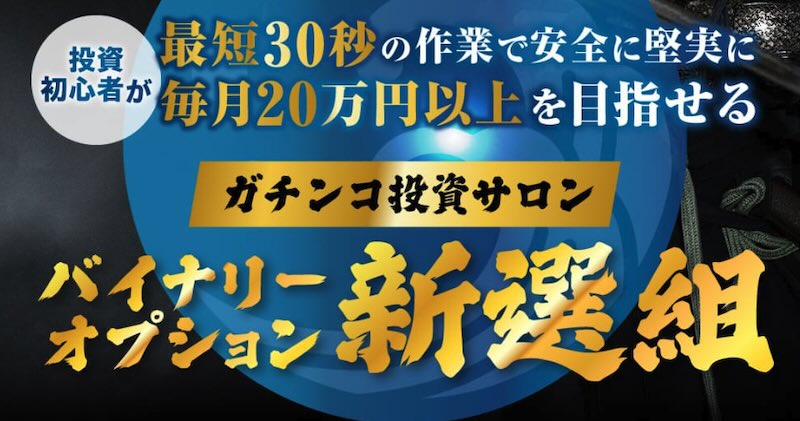 ガチンコ副業投資について